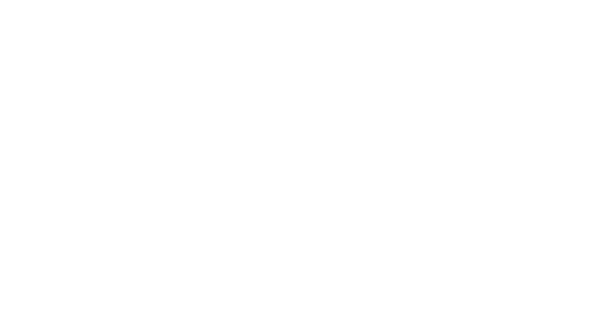 Veloz Movil