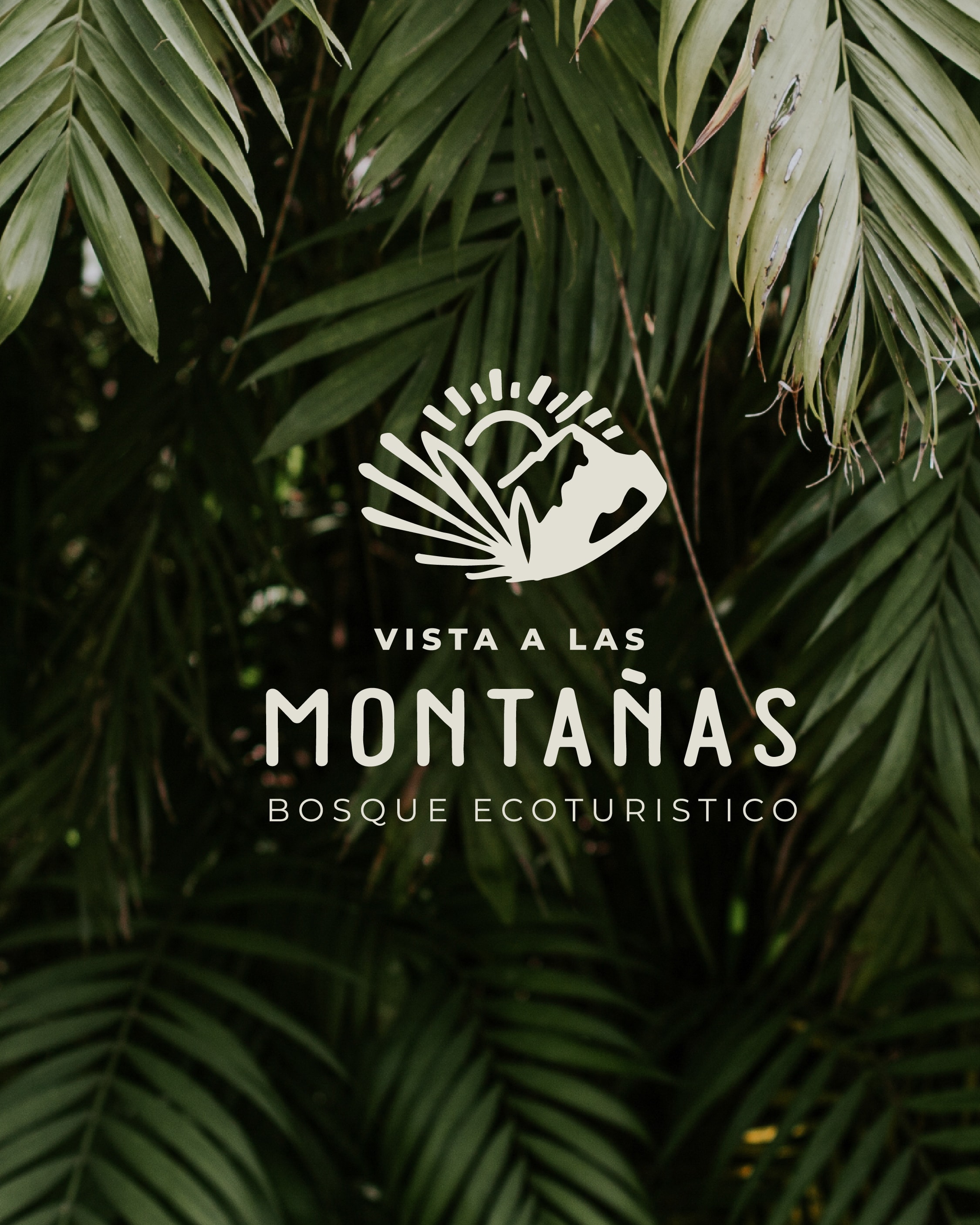 IDENTIDAD VISUAL VISTA A LA MONTAÑA